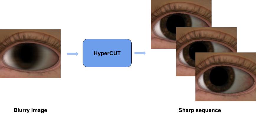 HyperCUT: Video Sequence from a Single Blurry Image using Unsupervised Ordering